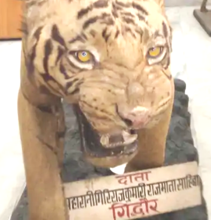जमुई :लछुआड भगवान महावीर के 24वें तीर्थंकर का जन्म स्थल  : चंद्रशेखर सिंह संग्रहालय